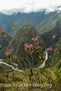 Landschaft-Machu-Picchu-Sonnentor