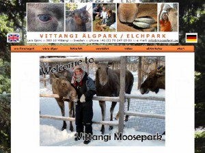 Vittangi-Homepage