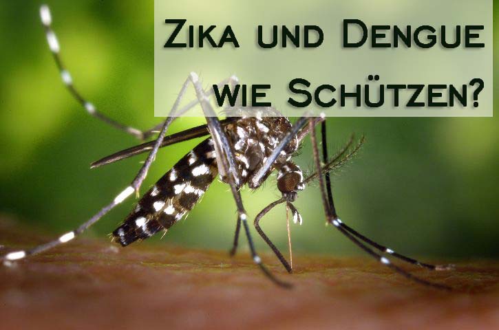 zika-virus-dengue-symptome